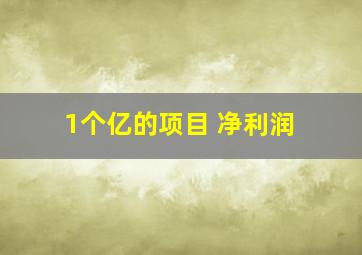 1个亿的项目 净利润